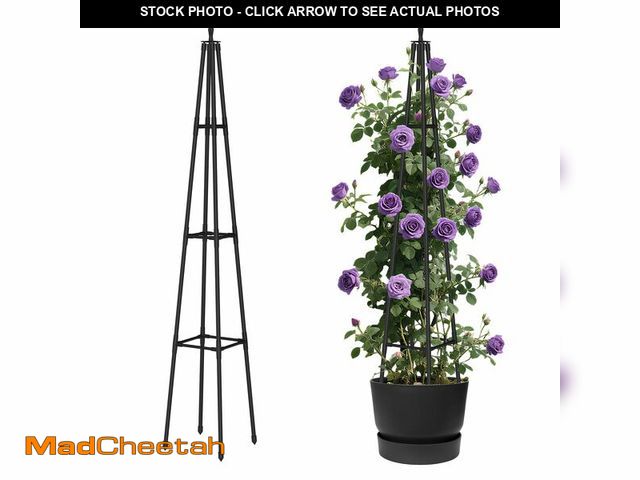 Lot 74-12432523 - Alisisfores 5.2Ft obelisk trellis for Climbing Plants outdoor,5.2Ft garden trellis with Extra Thicke...