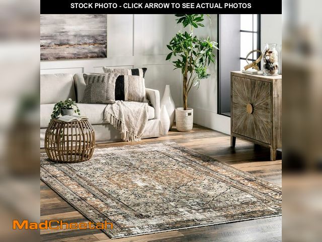 Lot 74-12544269 - nuLOOM Fringed Performance Indoor Area Rug, Power Loomed, Easy Clean, Durable, Non-Shed, 2' x 4', Ch...