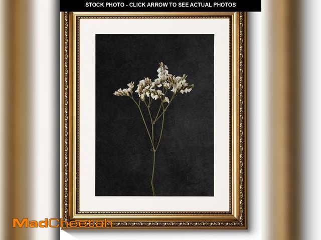 Lot 74-12323516 - ARPEOTCY Vintage Gold Framed Wall Art, Retro Dark Dried Wildflower Paintings, Canvas Prints Artwork ...