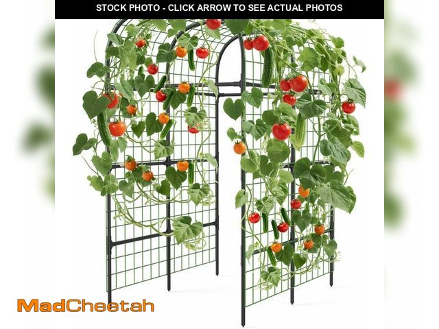 Lot 74-12664506 - Metal Garden Arch Trellis, 7.3Ft Black for Raised Beds, Plant Support for Cucumbers &amp; Climbing V...