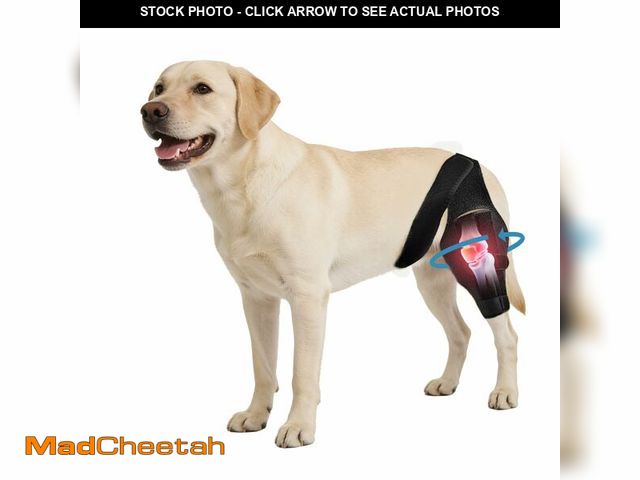 Lot 74-14151027 - Noorace Dog Knee Brace for Torn ACL/CCL &amp; Hind Leg Support - Adjustable Brace for Arthritis Reli...