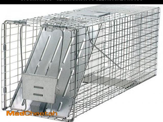 Lot 74-12136993 - HAVAHART 1079SR Large 1-Door Humane Catch and Release Live Animal Trap Cage - Live Raccoon Trap, for...