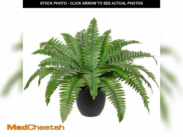 Lot 74-13715666 - Hollyone 17.7" Fake Fern Potted Plant Small Artificial Boston Ferns in Pot 25 Leaves for Outdoors &a...