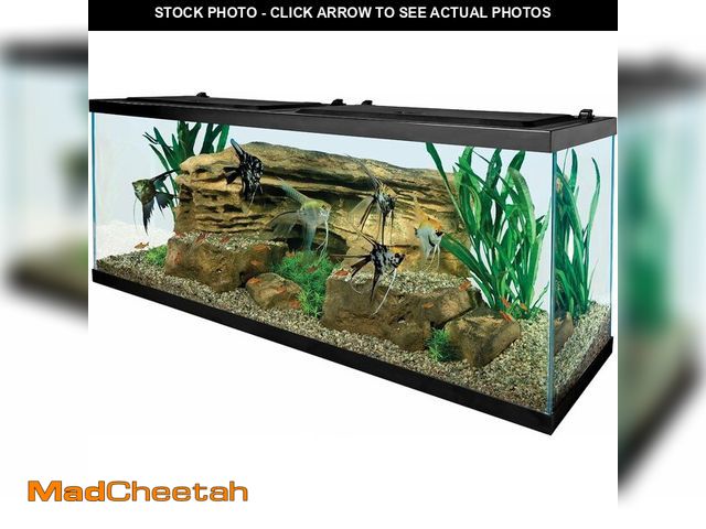 Lot 74-13070953 - Tetra Complete LED Aquarium Kit for Fish, 55 Gallons, Includes White LED Lights, Filter, Heater and ...