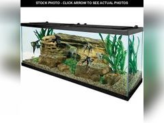 Lot 74-13070953 - undefined