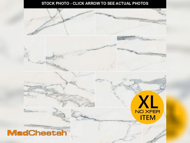 Lot 74-13738314 - MSI Carrara Azul Polished White Tile Gray Veining Porcelain Marble Look Tile 12 x 24 in., Floor &amp...