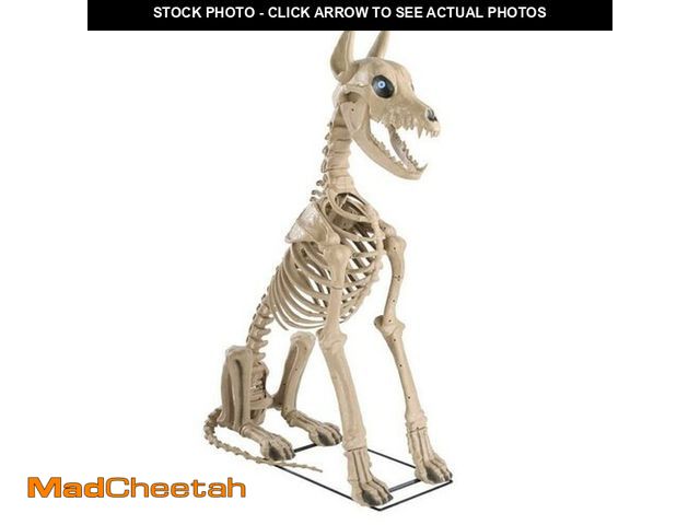 Lot 74-12892784 - New 5 ft. Grave &amp; Bones Skelly's Sitting Dog w/LifeEyes? LCD Eyes H22 - UNUSED