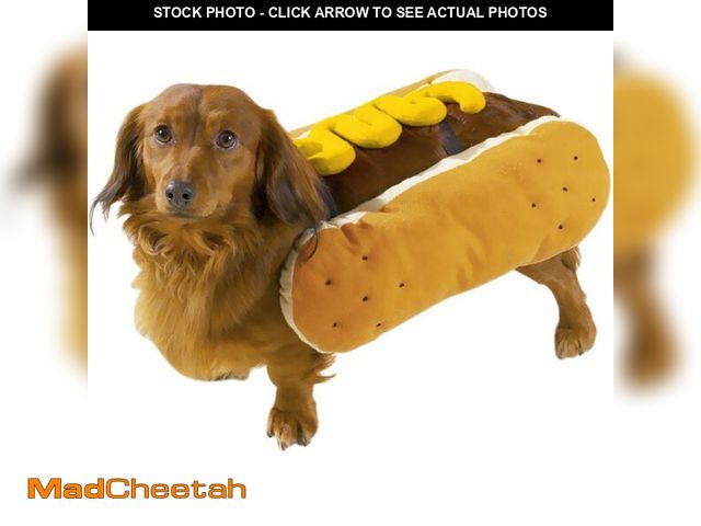 Lot 74-12970508 - Casual Canine Hot Diggity Dog with Mustard Costume for Dogs, 12" Small - USED