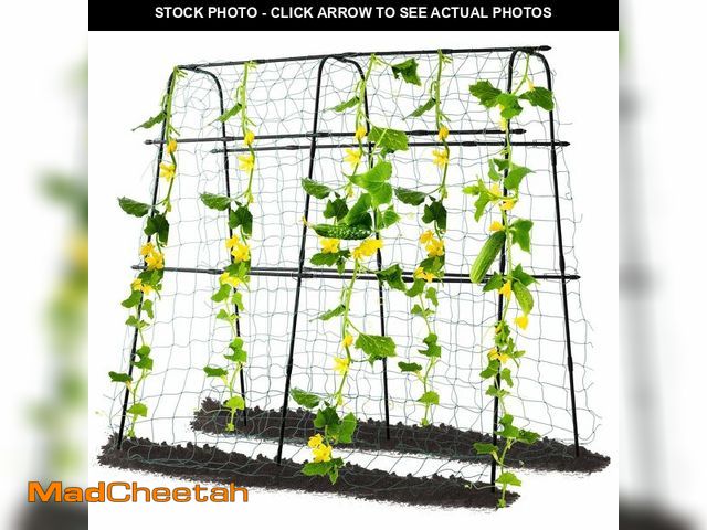 Lot 74-14155240 - Yotoworth Cucumber Trellis for Raised Bed, 63" Hx 63" L Garden Arch Trellis for Climbing Plants Outd...