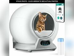 Lot 74-13582613 - undefined