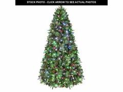 Lot 74-12888533 - undefined