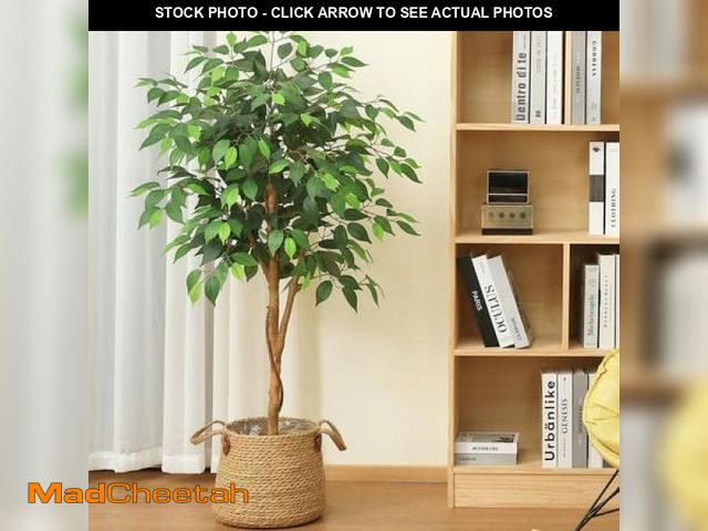 Lot 74-12155393 - 4FT Tall Artificial Ficus Tree with Natural Wood Trunk and Lifelike Leaves  Artificial Greenery for ...