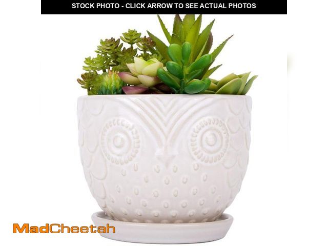 Lot 74-12122609 - VanEnjoy 6.5 Inch White Owl Ceramic Planters Plant Pot for Medium Plant, Succulent, with Saucer - UN...