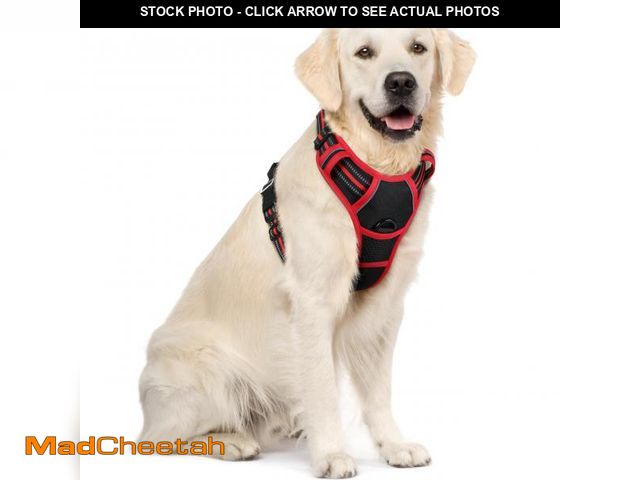 Lot 74-12312084 - rabbitgoo Dog Harness No Pull with 2 Leash Clips, Adjustable Soft Padded, Reflective Oxford No Choke...