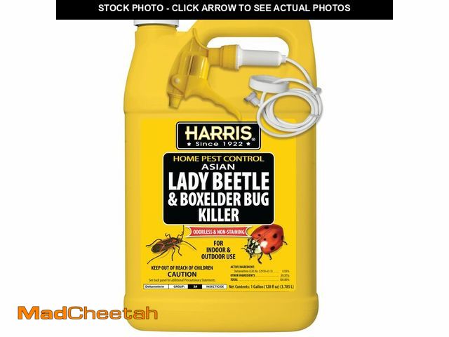 Lot 74-12712667 - Harris Asian Lady Beetle, Japanese Beetle, and Box Elder Killer, Liquid Spray with Odorless and Non-...