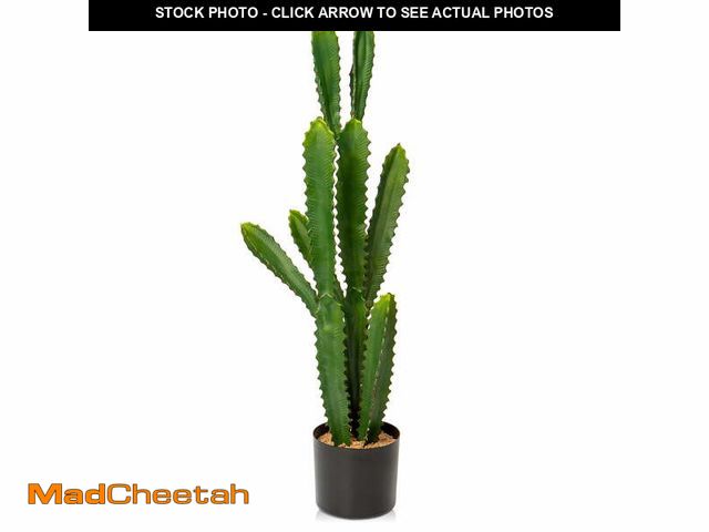 Lot 74-12669634 - 32.5" Tall Fake Cactus Plant Potted Large Cactus 'Euphorbia Accruensis Cactus' Big Cacti Artificial ...