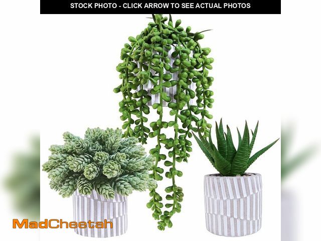 Lot 74-13576459 - Winlyn 3 Pack Small Faux Succulent Plants Fake String of Pearls Aloe Hops Succulents in Gray Geometr...