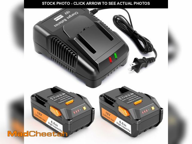 Lot 74-12878578 - Labtec 2-Pack 6.0Ah 18V Lithium Battery R840087 and Battery Charger Kit Compatible with Ridgid AEG -...