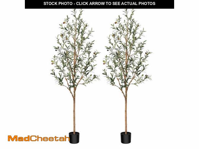 Lot 74-14322044 - DR.Planzen 2 Pack 6ft Artificial Olive Tree Indoor, Tall Faux Olive Tree, Artificial Plants with Nat...