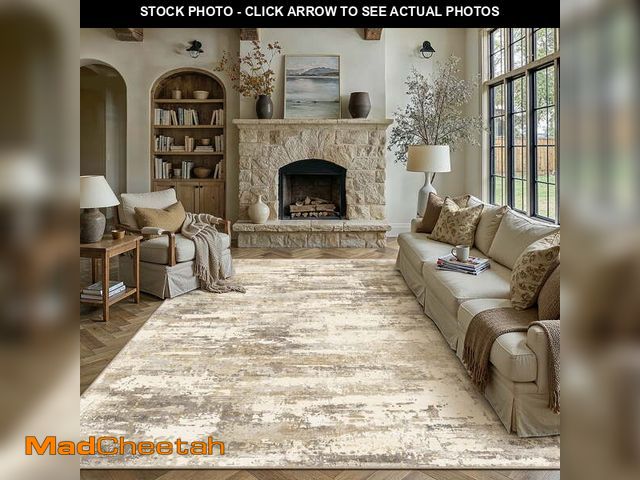 Lot 74-14324884 - BERTHMEER 8'x10' Area Rugs for Living Room Large Abstract Bedroom Dining Room Machine Washable Non-s...