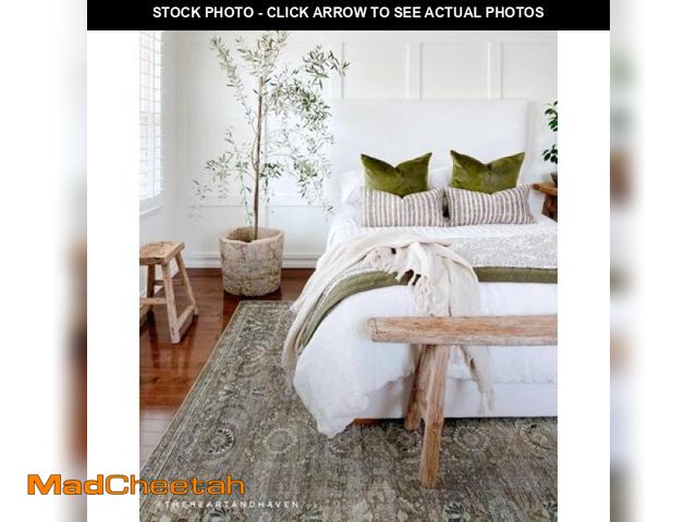Lot 74-12410899 - Layla Antique/Moss 9 Ft. X 12 Ft. Distressed Oriental Printed Area Rug - UNUSED