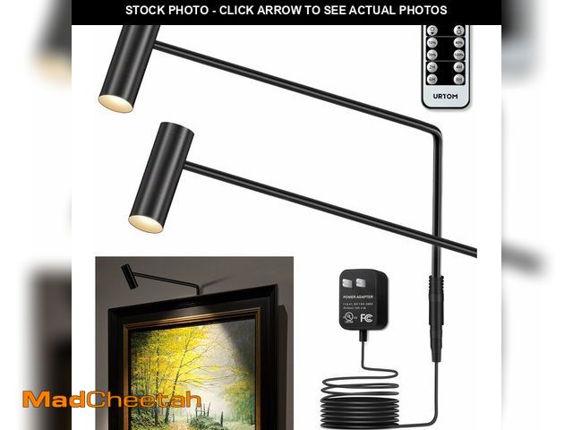 Lot 74-12718366 - URTOM Plug in Picture Light LED Art Light 3000K Picture Lights with Remote Dimmiable Picture Frame L...