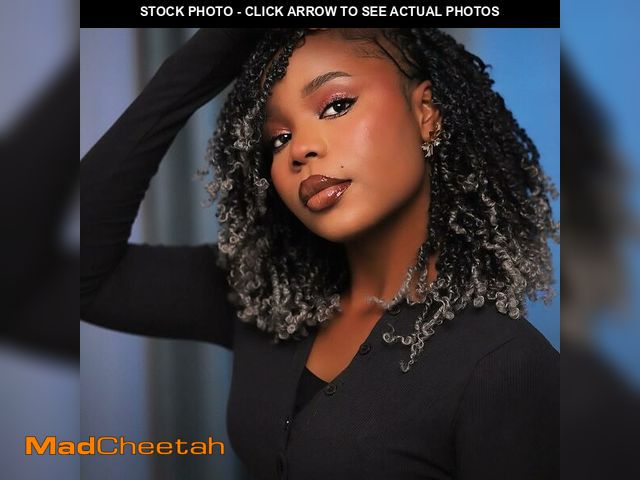 Lot 74-14377630 - Aeyab 8 Inch Yanky Twist Crochet Braids for Black Women 8 Packs Salt and Pepper Crochet Hair Mini Tw...