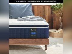 Lot 74-12692845 - undefined