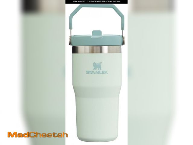 Lot 74-12313267 - Stanley IceFlow Flip Straw Tumbler with Handle 20 oz | Twist On Lid and Flip Up Straw | Leak Resista...