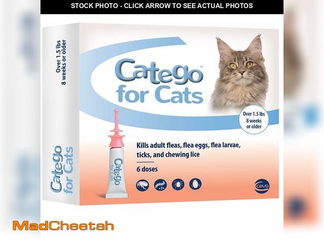 Lot 74-13047606 - (MISSING ONE DOSE) Catego for Cats Flea and Tick Treatment &amp; Prevention (Over 1.5 lbs) 6-Month S...