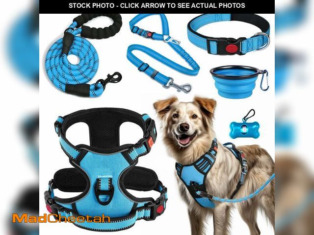 Lot 74-12703026 - LOBEVE No Pull Dog Harness, Collar &amp; Leash Set | Includes Dog Seat Belt, Collapsible Bowls &amp;...
