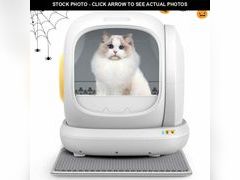 Lot 74-12638181 - undefined