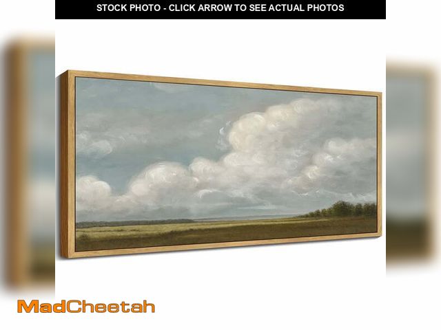 Lot 74-14607852 - (DAMAGE TO FRAME) Drsoum Large 20x40in Natural Framed Grassland Wilderness Desert Vintage Wall Art P...