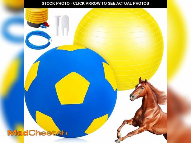 Lot 74-14386438 - VercanMonth Giant 40 Inch Herding Ball with Ball Cover Anti Burst Please Watch VCR for How to Inflat...