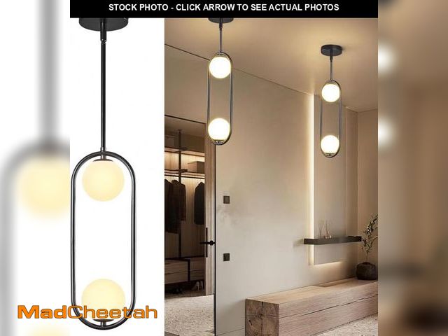 Lot 74-12508364 - FDPBY Modern Black Globe Pendant Light Mid Century Chandelier 2-Light Ceiling Hanging Lighting Fixtu...