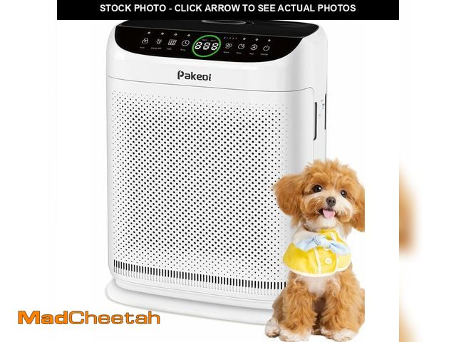 Lot 74-14472784 - Air Purifiers for Home Large Room Up to 3000 FtÃÂ² With Double Air Intake,PAKEOI HEPA Air Purifier ...
