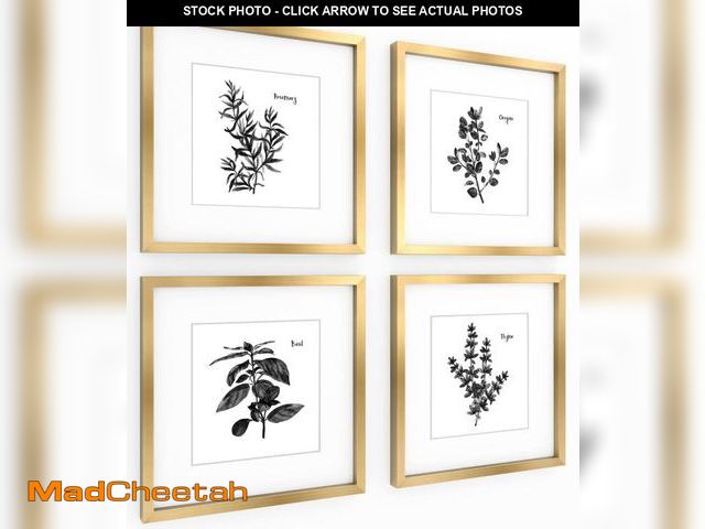Lot 74-12369331 - ArtbyHannah Gold Framed Wall Art with Herbs Plants Botanical Pictures in 11x11inch Gold Frames for K...