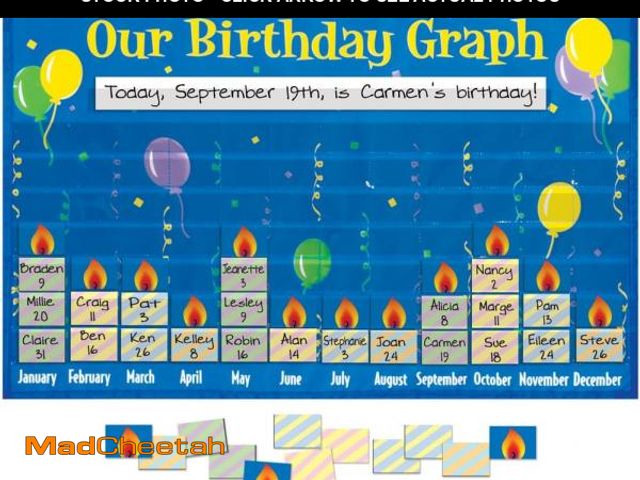 Lot 74-12408595 - Really Good Stuff 159979 Our Birthday Graph Space-Saver Pocket Chart - UNUSED