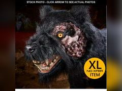 Lot 74-12850549 - undefined