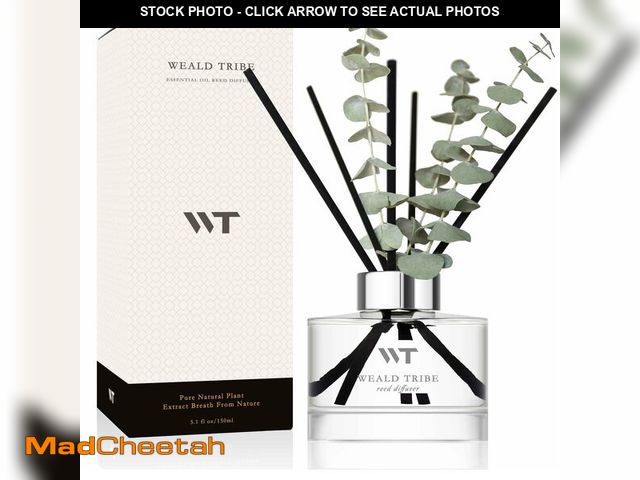 Lot 74-14267163 - Flower Reed Diffuser Set Wild Eucalyptus Mint Scent for Bathroom Accessories Shelf Decor &amp; Air F...