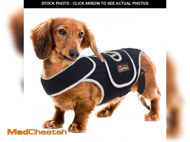 Lot 74-11551696 - IVDD Dog Back Brace for Slipped and Herniated Discs - Back Brace for Dachshunds and Corgis, Ensuring...