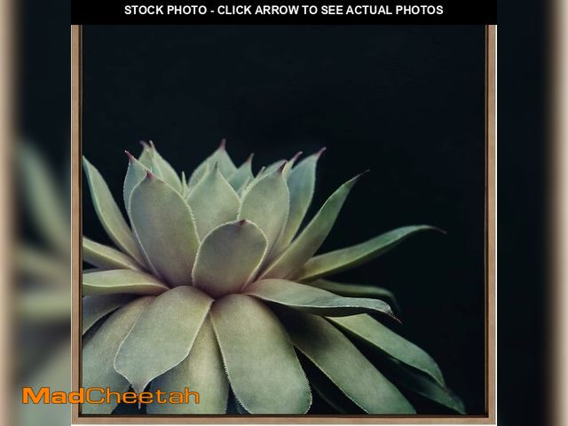 Lot 74-12544176 - Kate and Laurel Sylvie Succulent 8 Framed Canvas Wall Art by Emiko and Mark Franzen of F2Images; 30x...