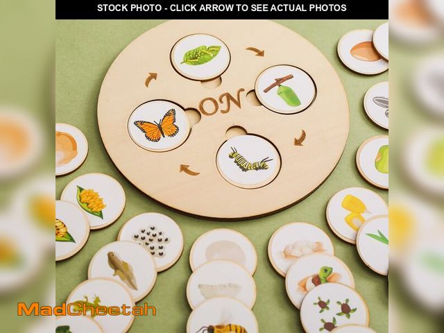 Lot 74-12707486 - Wooden Life Cycle Tray for Kids - Frogs, Butterflies, Chickens, 40 Pieces - Preschool Learning Activ...