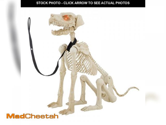 Lot 74-12427871 - Animated White Plastic Skeleton Dog, 60 Inch, Halloween Decoration - USED
