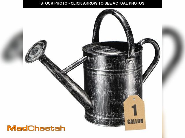 Lot 74-12451910 - CherHome Watering Can for Outdoor Plants&amp;Indoor Plants,Plant Watering Pot 1 Gallon with Removabl...