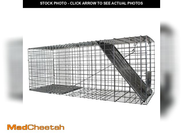 Lot 74-14313255 - Havahart Large 1-Door Professional Live Animal Cage Trap for Raccoon, Opossum, Groundhog, and Feral ...