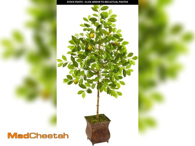 Lot 74-12137142 - Nearly Natural 54in. Lemon Artificial Decorative Planter Silk Trees, Green - UNUSED