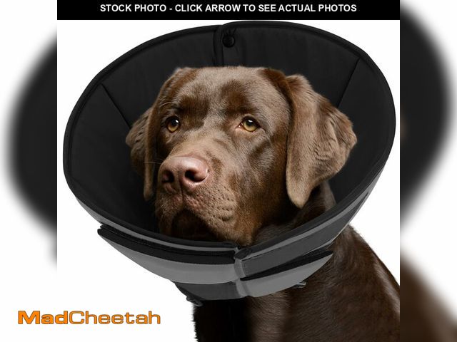 Lot 74-12976925 - Queenmore Dog Cone XL, Soft Dog Cones for Large Dogs After Surgery, Cone for Dogs to Stop Licking, E...