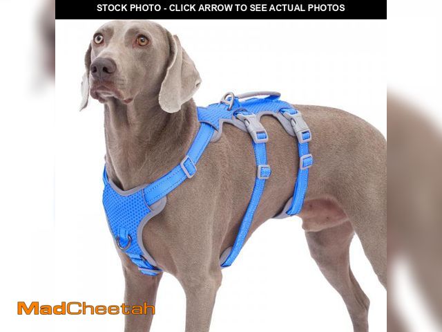 Lot 74-12437391 - Huntboo Escape Proof Dog Harness, No Pull Reflective Harness with Lift Handle,Adjustable Pet Vest wi...