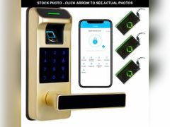 Lot 74-12712660 - undefined